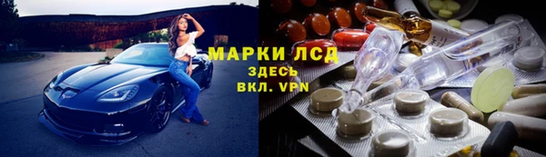 спиды Бородино