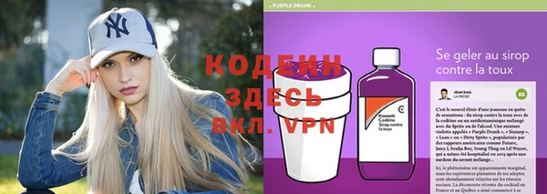 спиды Бородино