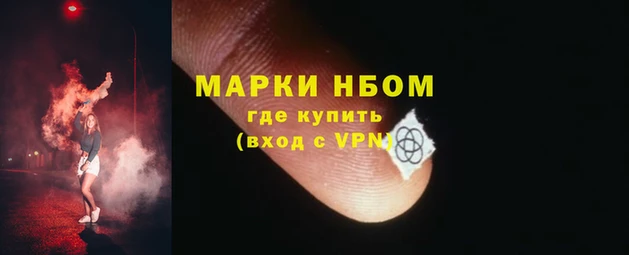 спиды Бородино