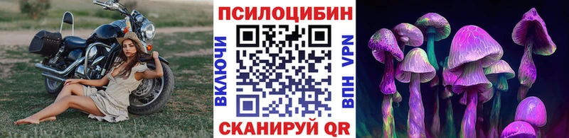 Псилоцибиновые грибы Cubensis  Сретенск 